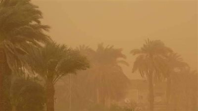 عاصفة هوائية محملة بالأتربة في سماء أسوان  