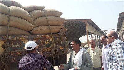 القمح والشعير والفول.. محطات الزراعة تستلم تقاوي خام المحاصيل الشتوية من المزارعين (صور)