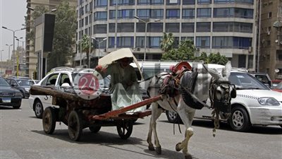 موجة حارة تضرب القاهرة وارتفاع جديد في درجات الحرارة