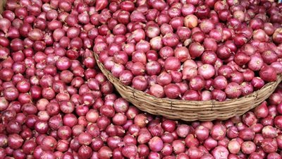 عاجل.. وزير الزراعة يُعلن رفع الحظر السعودى عن البصل المصرى