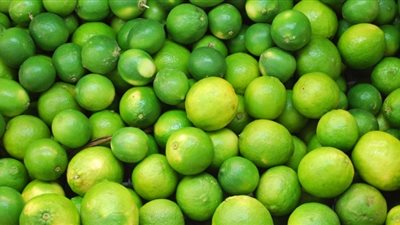 “الكليو بـ45 جنيه”.. مجمعات الاهرام تعلن طرح كميات كبيرة من الليمون بأسعار مخفضة للمواطنين