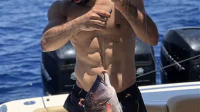 أفيخاي أدرعي يستخدم محمد صلاح لتحقيق مصالحه في غزة (صورة)