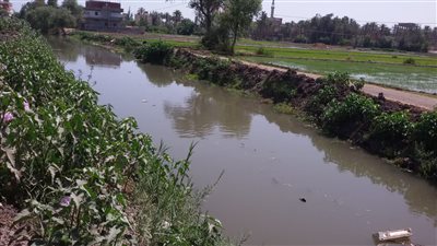 “الري” تواجه التعديات على النيل وموسم اقصى الاحتياجات المائية.. وتعلن الطوارئ (صور)