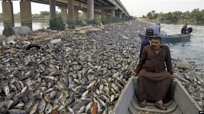 لوقف دمار البحيرة.. صيادو المنزلة يطالبون بوقف أعمال التكريك: تفتك بالأسماك