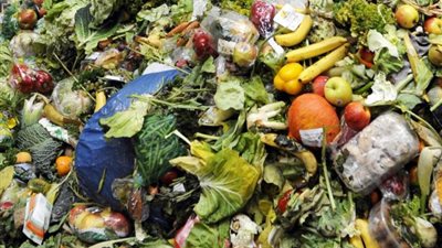 تطبيق جديد يساعد في بيع بقايا الطعام بدلا من إهدارها (فيديو)