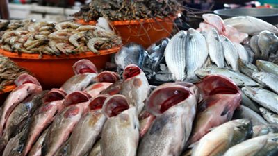 تعرف على أسعار الأسماك في سوق العبور اليوم الأربعاء