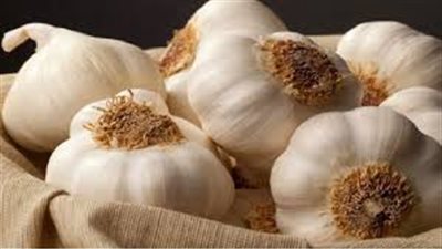 تأكيدا لانفراد “القاهرة 24”.. البرازيل تفتح أسواقها أمام الثوم المصري.. وهذه شروط التصدير (مستند)