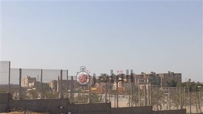 الاستعدادات النهائية لنقل موكب الملك خوفو من الأهرامات إلى المتحف المصري الكبير