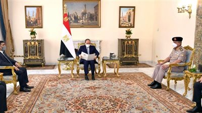 السيسي يستقبل وزير الدفاع العراقي لبحث التعاون الثنائي العسكري
