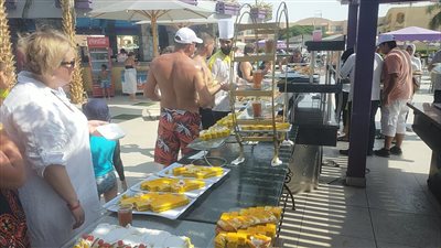 المنتجعات السياحية بالغردقة تنظم مهرجانًا للمانجو (صور)