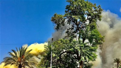 رئيس قطاع الآثار: السيطرة على حريق نشب بمنطقة ميت رهينة 