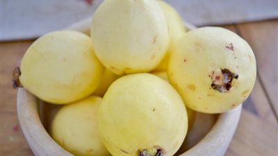  من بينهم مرضى السكري.. أشخاص يجب تجنب تناولهم للجوافة 