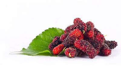 يقلل الندبات.. تعرف على فوائد التوت على البشرة 