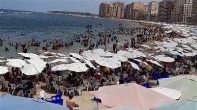 «القومى لعلوم البحار»: تغير لون البحر إلى الأخضر تسبب في نفوق أسماك وتناولها يمثل خطورة