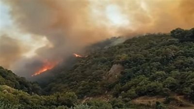 الرئيس الجزائري يعلن وفاة 25 عسكريًا في حرائق الغابات