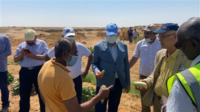وزير الري يتفقد الأعمال الجارية لتنمية جنوب الوادي