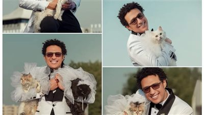 شاب بقنا يعلن زواجه من 4 قطط ويؤكد: «دوّر على الأصل» (صور)