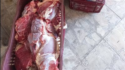 ضبط طن لحوم وأسماك ودواجن غير صالحة للاستهلاك الآدمي بالبحيرة