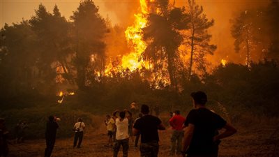 منظمات دولية تدعو لوقف الأنشطة الإنسانية وحماية الأرض من التغير المناخي
