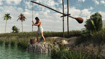 ذاكرة الأمثال 27.. «شقله على قد بقله»