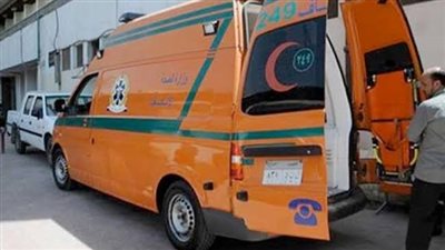 مصرع شاب وإصابة آخر نتيجة صعق كهربائي بكفر الشيخ 