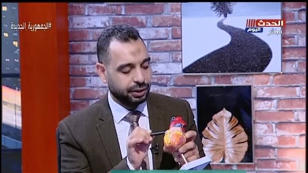 الدكتور أحمد الوكيل