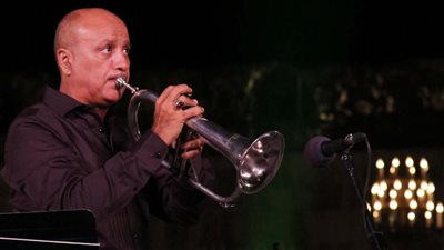 الفني للموسيقى: هاني شاكر وجنات في مهرجان القلعة