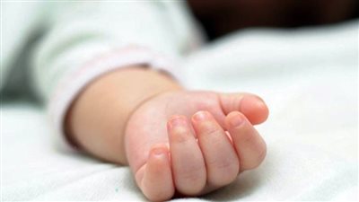 إمام بالأوقاف: ليس كل الأطفال سيشفعون لأهلهم يوم القيامة