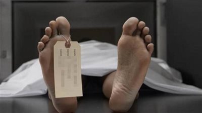 بجواره حقن مخدرات.. العثور على جثة شاب بأراض زراعية في كفر الشيخ 