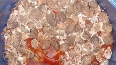 ضبط 30 طن باذنجان مخلل غير صالح للاستهلاك بالبحيرة