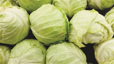 المركزي للمناخ الزراعي: ارتفاع درجات الحرارة يهدد محصول الكرنب