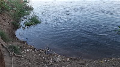 حقيقة ارتفاع منسوب مياه النيل في الغربية.. وتحذيرات من فيضان محتمل