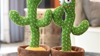 يصل سعرها إلى 900 جنيه.. الصبارة الراقصة تتصدر محركات البحث 