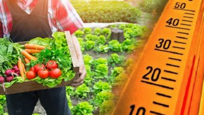 بسبب التغيرات المناخية.. بيان مهم من الزراعة لعدم هدر المحاصيل