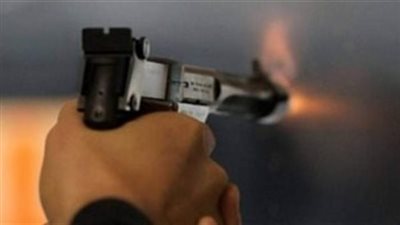 بسبب نقل عزال.. الأمن يكشف تفاصيل إطلاق أعيرة نارية بالدقهلية