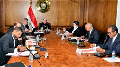 وزيرة التجارة تتابع خطة تطوير وهيكلة مركز تحديث الصناعة