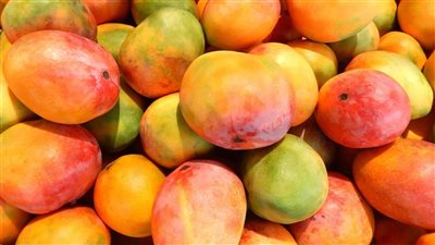 المانجو بـ60 جنيهًا.. ارتفاع أسعار الفواكه في الأسواق المصرية