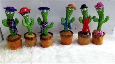 رحلة الصبارة الراقصة في مصر.. الأسعار ومدى إقبال المواطنين على شرائها