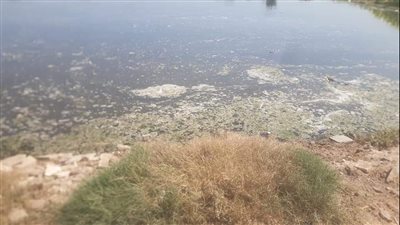 ارتفاع منسوب مياه النيل بقري كوم حمادة..وتحذيرات لقاطني أراضي طرح النهر بالبحيرة