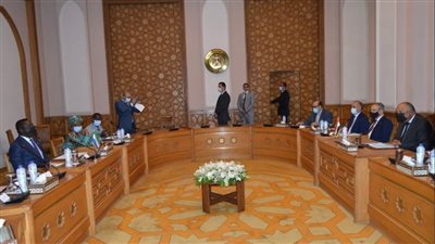 جلسة مشاورات رسمية بين وزير الخارجية ونظيره السيراليوني لبحث العلاقات الثنائية | صور