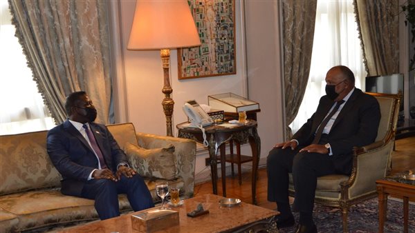 وزير الخارجية ونظيره