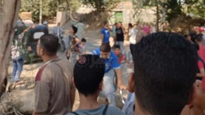 قرد يثير الفزع بين أهالي قرية العطف بالمنوفية | صور وفيديو