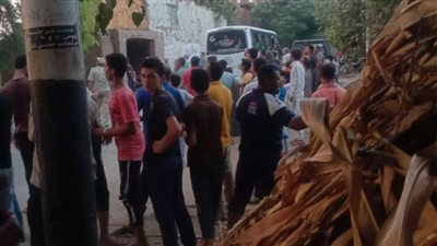 مصدر يوضح حقيقة هروب 100 قرد من سيارة على الطريق الإقليمي بالمنوفية