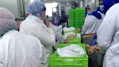 ضبط 2 طن شاورما ولحوم غير صالحة للاستهلاك الآدمي في مصنعين بالشرقية | صور