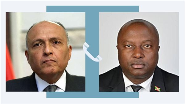 وزير الخارجية ونظيره