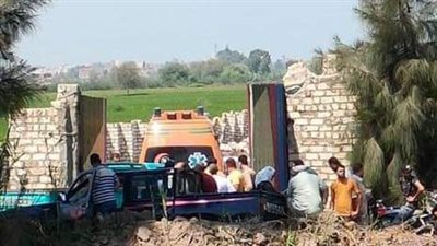 العثور على جثة شخص أسفل شجرة بالدقهلية | صور