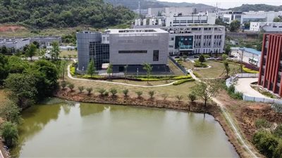 منظمة الصحة العالمية: توقف البحث عن منشأ فيروس كورونا في الصين