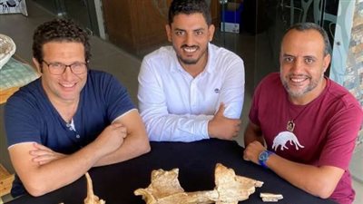 مكتشف الحوت البرمائي: اكتُشف 2008 وعاش قبل 43 مليون عام بالمياه المصرية