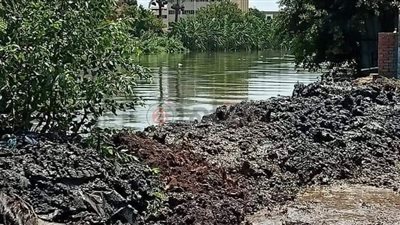 السيطرة على ارتفاع منسوب نهر النيل بكفر الزيات في الغربية | صور 