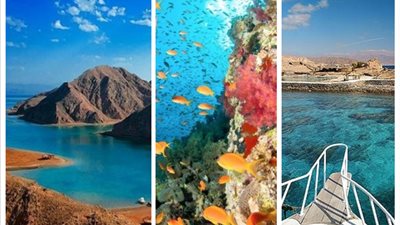 تعرف على اشتراطات ممارسة الأنشطة الاقتصادية داخل المحميات الطبيعية